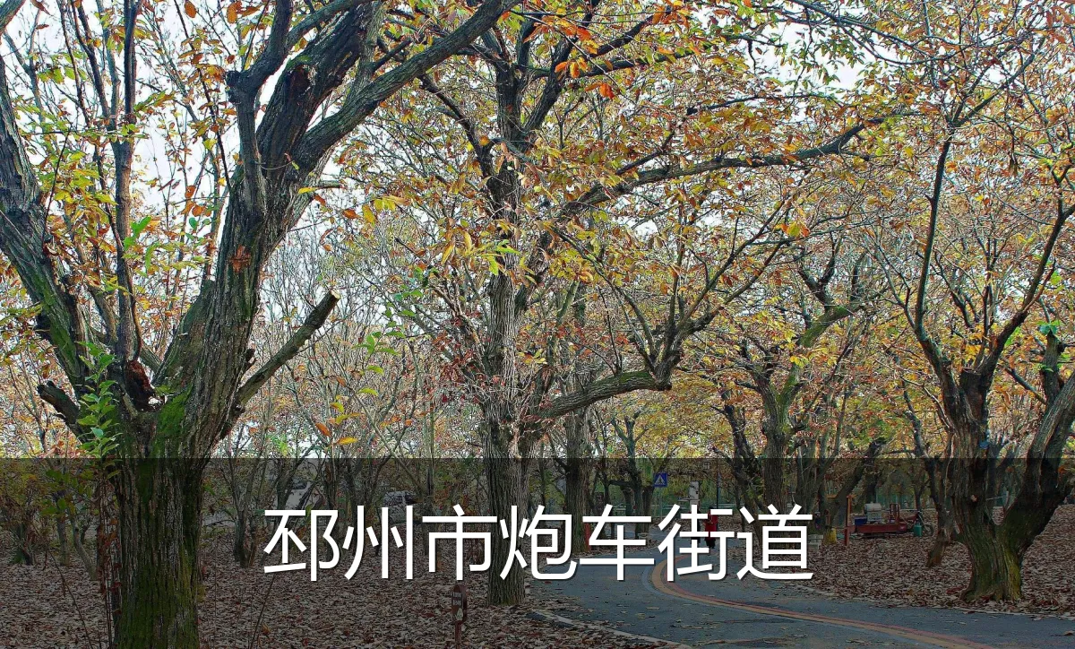 邳州市炮车街道